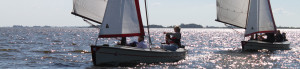 Polyvalk - Zeilboot huren in Friesland - Ottenhome Heeg